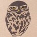 Set of six owl cards (100% recycled)