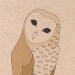 Set of six owl cards (100% recycled)
