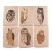 Set of six owl cards (100% recycled)