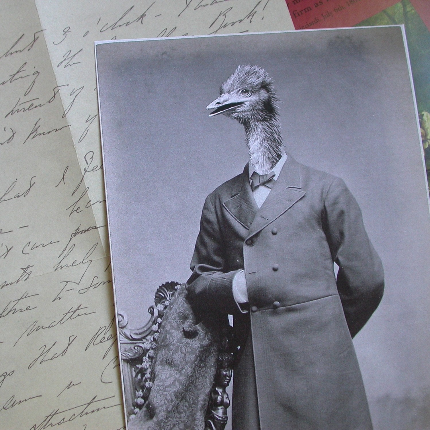 Oliver the Ostrich Man 5x7 Anthropomorphic print