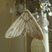 moths - paper and wax string mobile
