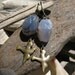 Lavender Purple Agate Stone Nugget Earrings with Antiqued Brass Bird-in-Flight Dangles