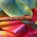 Hand-dyed rainbow silk ribbon stick wand for children's play, with free personalization