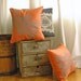 Orange Pillow with Astera Print