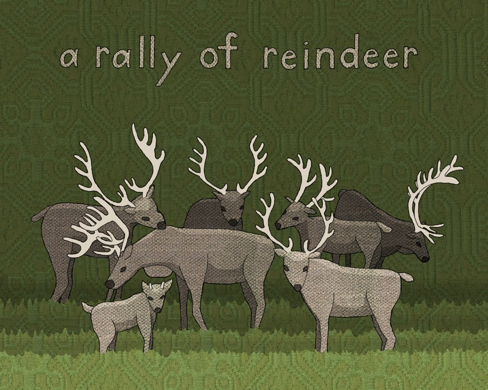 a rally of reindeer - limited edition print 5/100