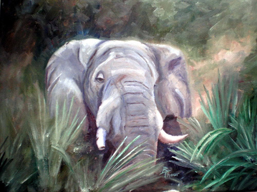 Elephant Portrait ORIGINAL Oil Painting