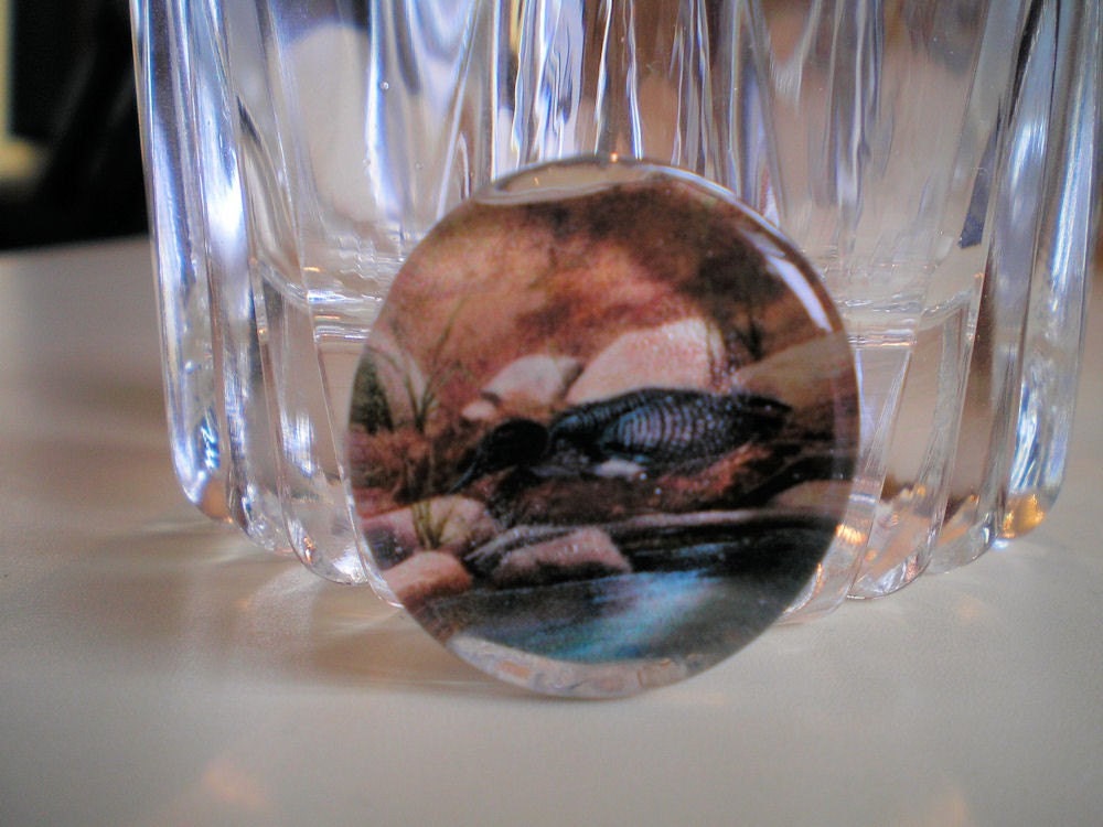 Nesting Time Marble Magnet