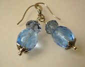 Blue Shining Earrings Sterling Silver