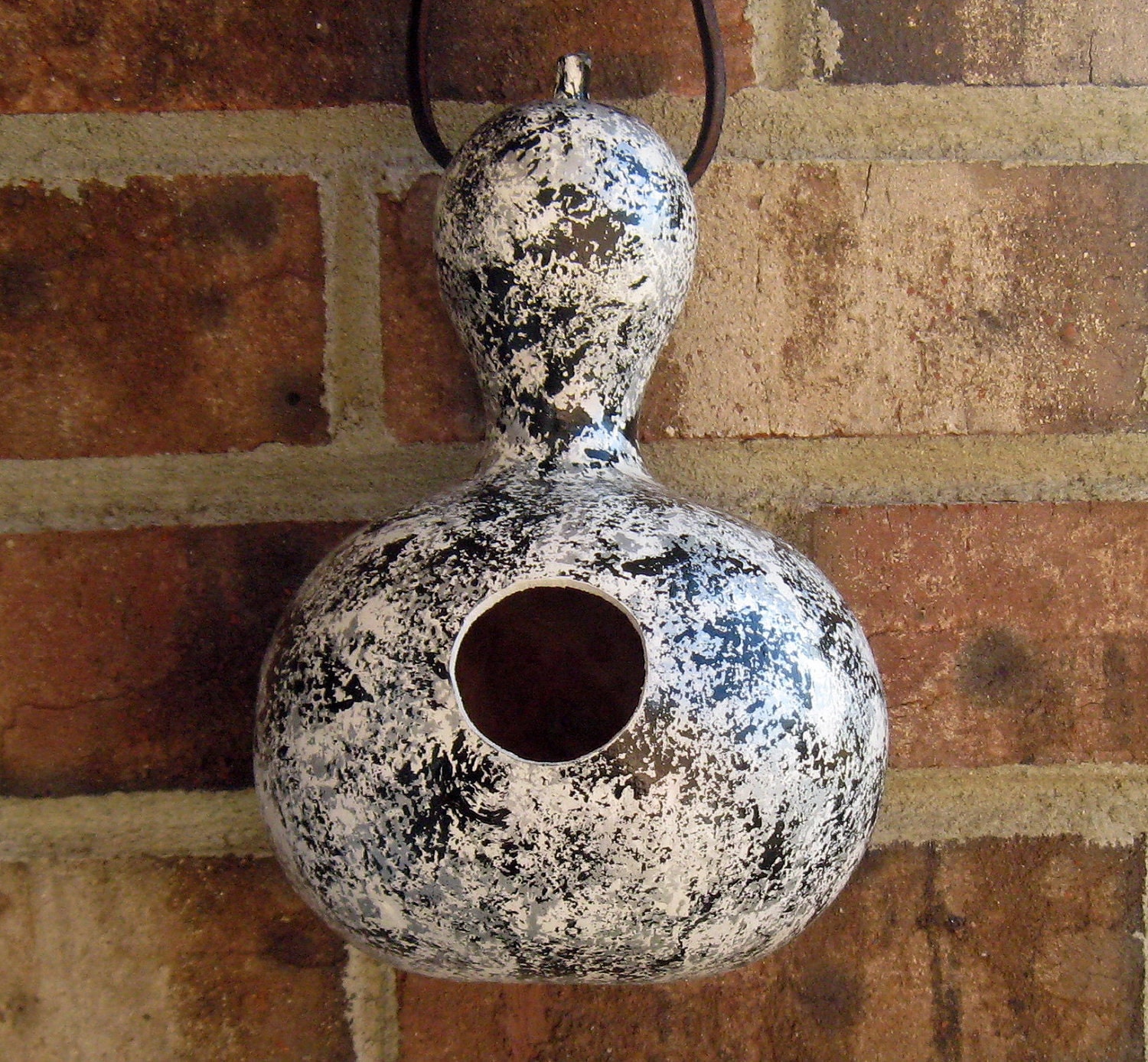 Bird House Painted Gourd Silver Black White for Your Small Birds Organically Grown