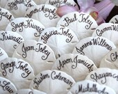 Set of 75 Hand painted Sanddollars