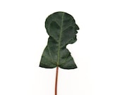 Leaf Silhouette Portrait for a Tree Man