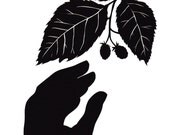 Pluck Paper Cutting