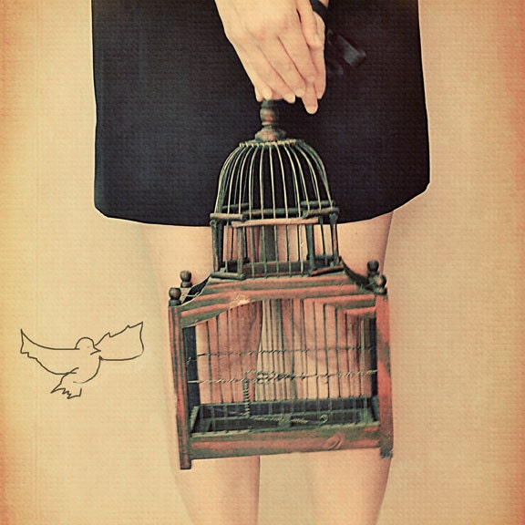 Whimsical Bird Cage Photography, Fly Away,  Bird Illustration 8x8 Photograph, Brown Tones