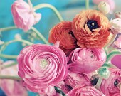 Still Life Photograph, Ranunculus Bouquet, 8x10 Print, Shabby Chic , Fine Art Photo, Flower Photography
