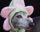 Flower Dog Hat Bloomin Hatz4Brats Featured on Cute Overload