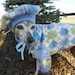 Italian Greyhound Preppy Argyle Fleece Golf Sweater and Beret, custom made for all small dogs