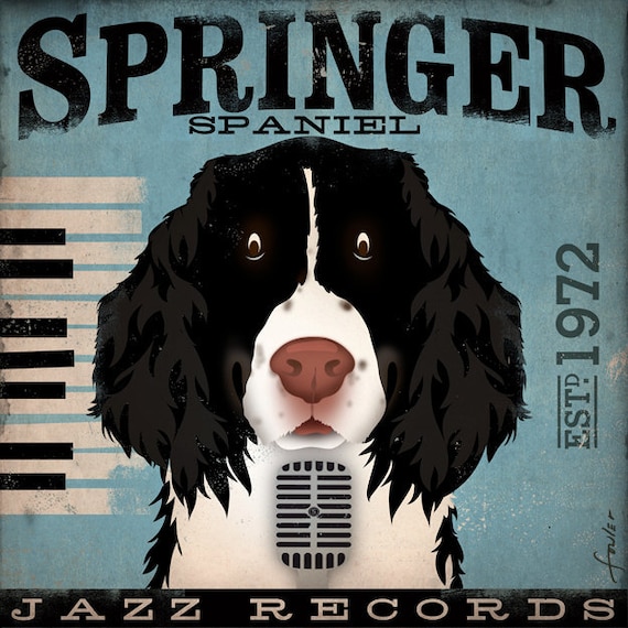 Springer Spaniel Jazz records album style graphic artwork on canvas 12 x 12 inches by stephen fowler