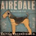 AIREDALE records original graphic art illustration on canvas 12 x 12 x 1.5 by gemini studio