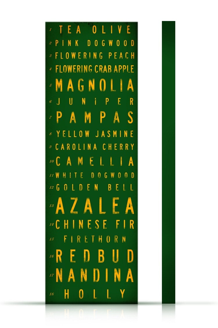 Golf course hole names typography Masters Augusta National original graphic on canvas 12 x 36 by stephen fowler