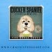 Cocker Spaniel Cupcake Company original graphic illustration giclee archival signed artist's print 12  x 12 by stephen fowler