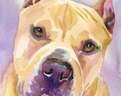 Pitbull Terrier Art Print of Original Watercolor Painting 8x10" Dog Art