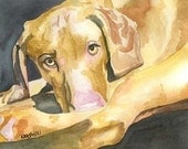 Vizsla Art Print of Original Watercolor Painting 8x10
