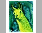 Llama - 5 Blank Note Cards With Matching Envelopes - Ranlett A4C