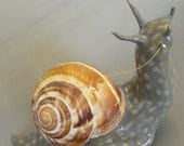 Paper Clay Snail with Bridle