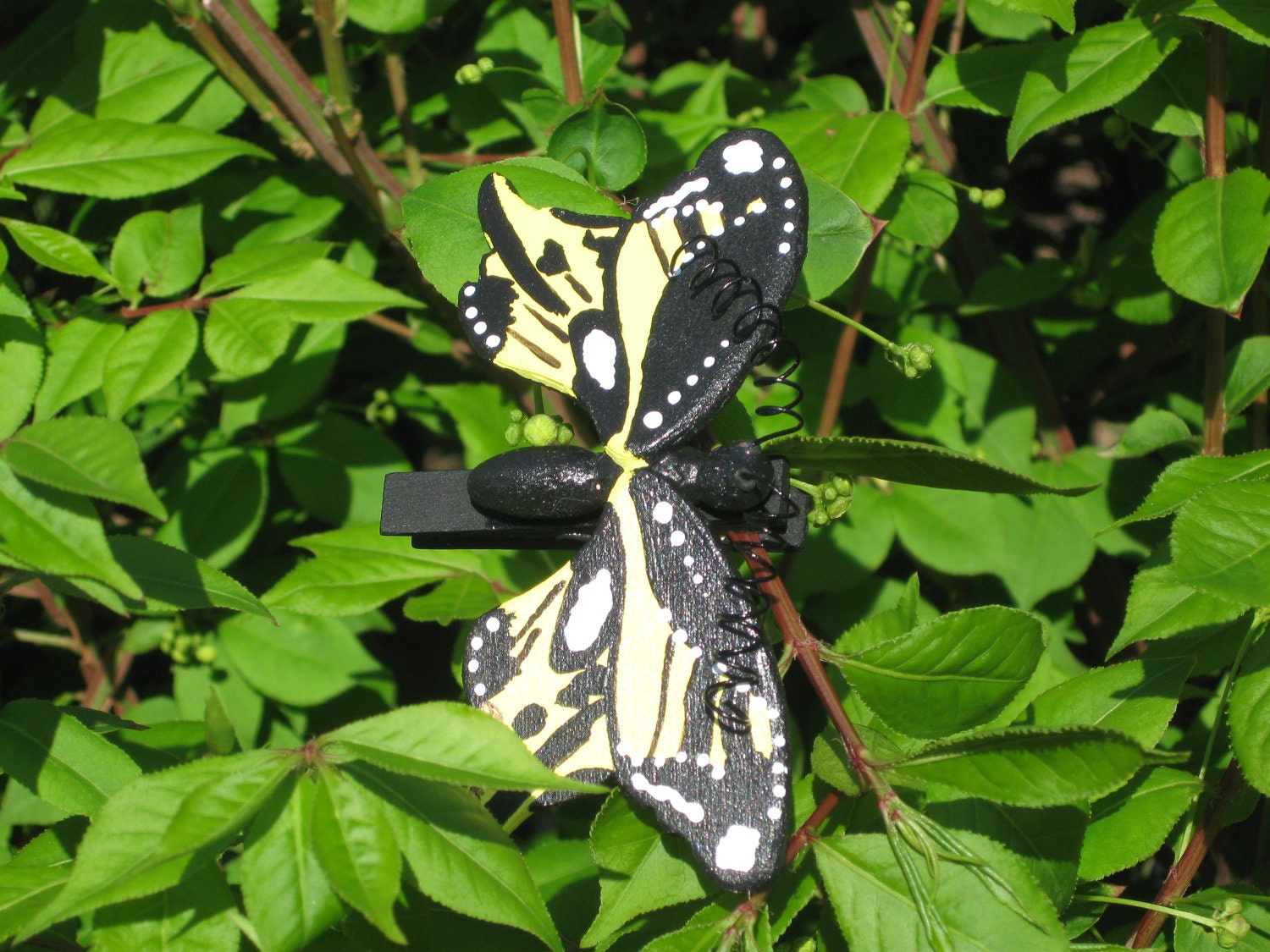 Hand Carved Butterfly Clip