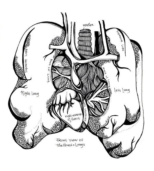 LUNGS Art Print