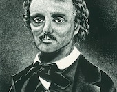 Edgar - 5 x 7 Print of Original Scratchboard by Carolee Clark