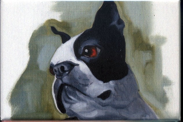 Boston Terrier Cute Portrait dog art magnet