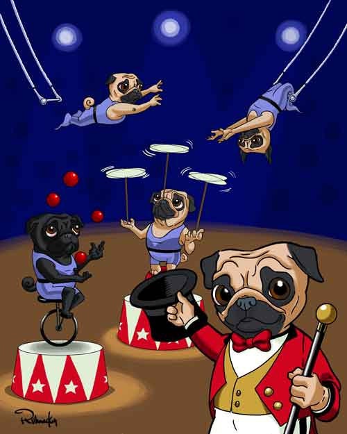 Pug Circus Dog Art Print The Greatest Pug show on earth