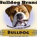 English Bulldog Cigar Label print