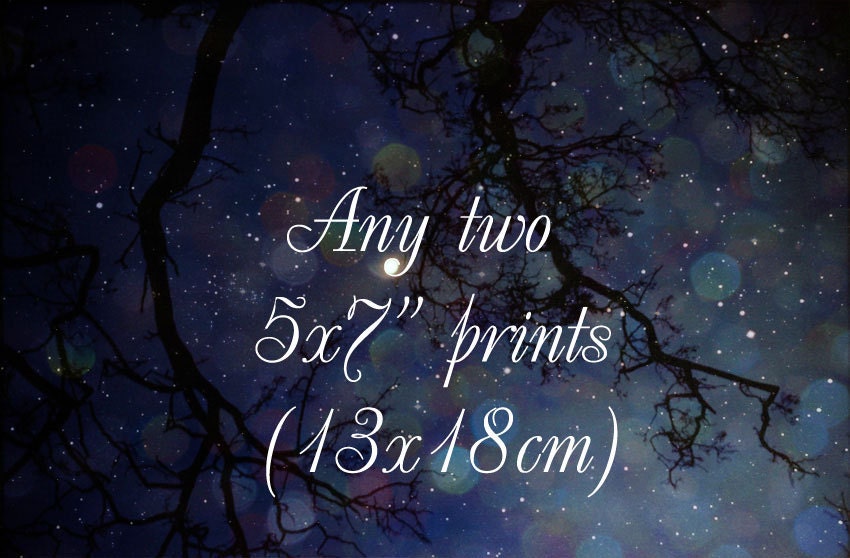 Any two photographs from my shop as 5x7 or 5x5 inch prints