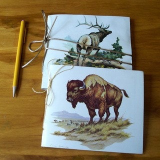 Repurposed wildlife animal sketchbooks