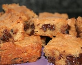 Chocolate Chip Blondies