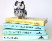 Needlefelted Owl White Faced Scops Owl in Greys and Black