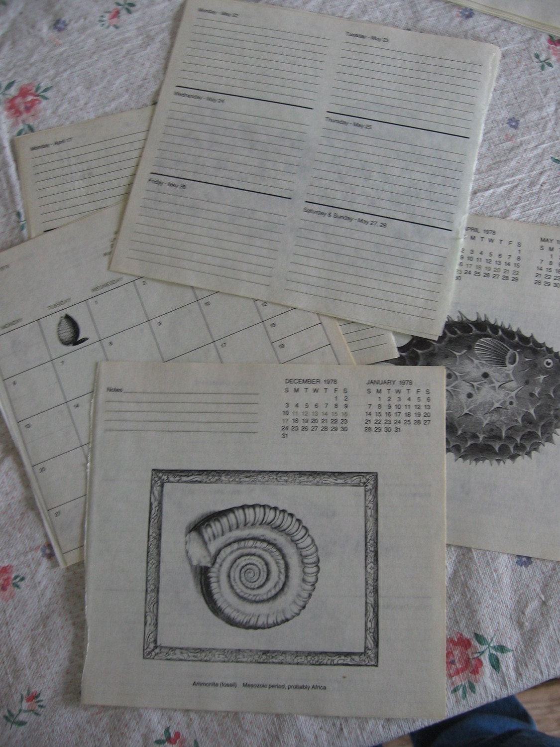 Spring Clearance    Vintage Shell Desk Diary Paper Pack