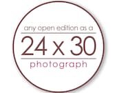 Any Open Edition Landscape Photograph as a 24x30 inch Print - Custom size great for the living room and bedroom