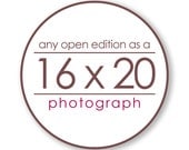 Any Open Edition Landscape Photograph as a 16x20 inch Print - Custom size great for the bedroom, living room, and dining room
