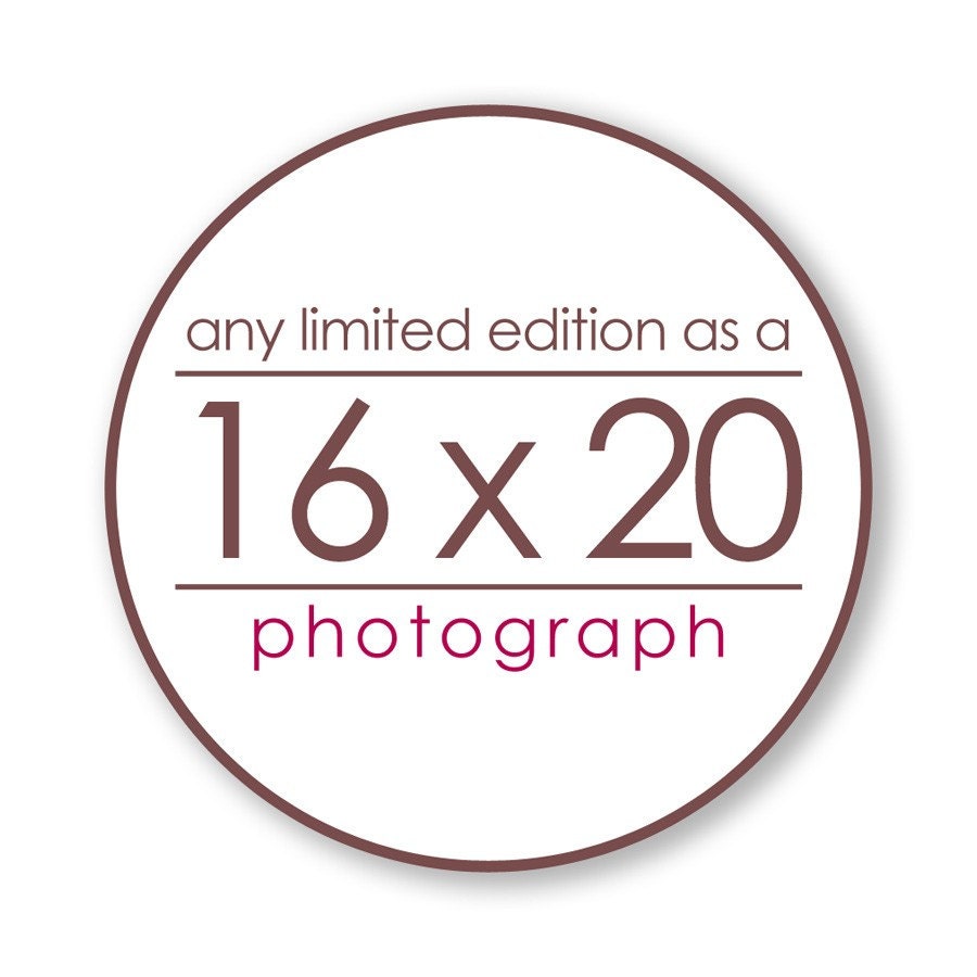 Any Limited Edition Landscape Photograph as a 16x20 inch Print - Custom size great for the bedroom, living room, and dining room