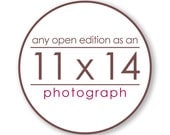 Any Open Edition Landscape Photograph as an 11x14 inch Print - Custom size great for the office, kitchen, and dining room
