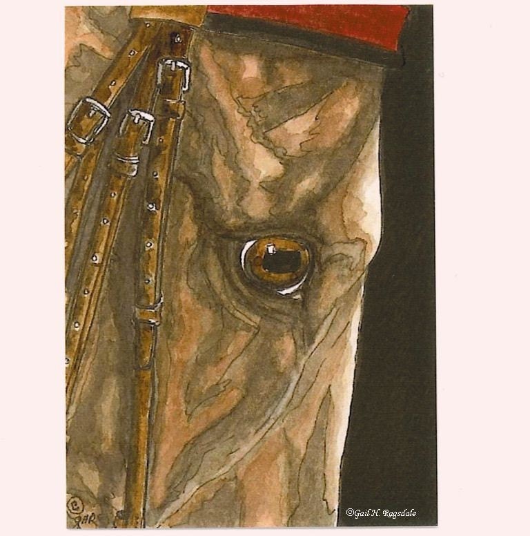Saddlebred Morgan Arabian Horse Eye 1 Limited Edition Print Mini Art by Gail aceo