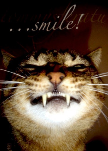 Vampire Cat Postcard   - Tommysferatu Card - Cat - Card - Halloween