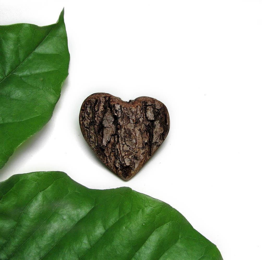 Treehugger heart - Rustic Natural Bradford Pear Wood Bark Brooch or Boutonnière by Tanja Sova