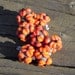 Handmade lampwork beads...Firecracker