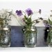 Spring Flowers , Flowers & Flowers. Mason Jars, Deep Grape Purple Cottage Rustic Shelf
