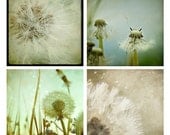 Dandelion Photo Set - nature photography - dreamy - surreal - baby nursery prints - nature home decorating - four 4x4 photographs