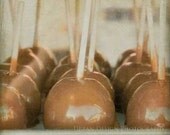 Caramel Apples At The Fair Photograph - brown beige grey vintage inspired home decor, neutral carnival wall art, baby nursery - 5x5